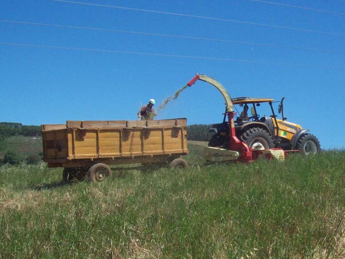 You are currently viewing Programa Porteira Adentro impulsiona crescimento e garante a permanência dos pequenos produtores rurais no campo