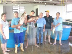 Read more about the article Feira do Peixe Vivo inicia amanhã em Xaxim