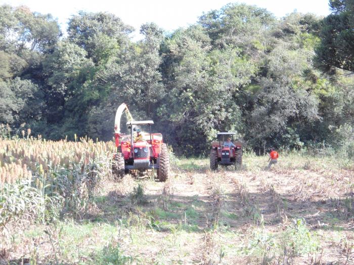 You are currently viewing Agricultura continua com trabalho no campo