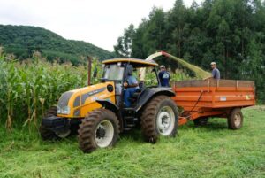 Read more about the article Programas da Secretaria da Agricultura de Passos Maia ajudam os produtores