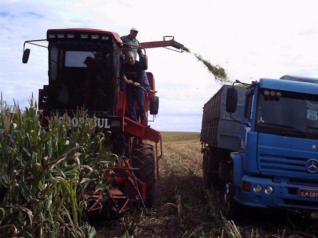 Read more about the article Secretário da Agricultura  busca tecnologia para colheita de Silagem