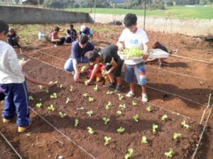 Read more about the article Projeto incentiva estudantes a cultivar hortaliças em casa