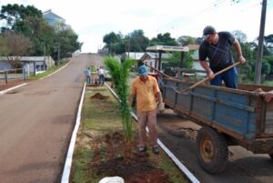 Read more about the article Prefeitura faz plantio de palmeiras na rua Nossa Senhora das Graças
