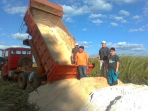 Read more about the article Secretaria de Agricultura distribuiu 1,2 mil toneladas de calcário