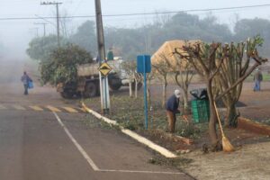 Read more about the article São Domingos: Iniciada a poda de árvores do perímetro urbano