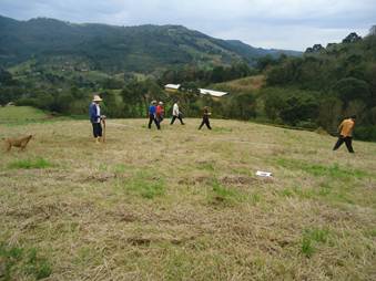 You are currently viewing Incentivo a bovinocultura: produtores implantam pastagens permanentes