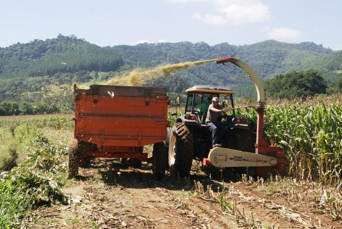 You are currently viewing Passos Maia: Secretaria de Agricultura realiza mais de 340 horas de serviços de silagem
