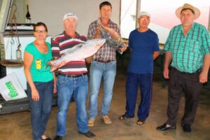 Read more about the article Xaxim: Piscicultores vendem 500 quilos no primeiro dia da Feira do Peixe Vivo