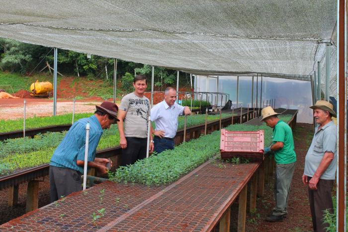 Read more about the article Cerca de 20 mil mudas de flores serão plantadas em Xaxim