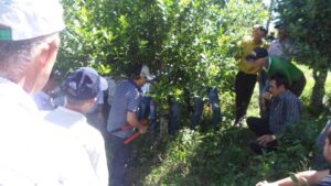 Read more about the article Agricultores participam de cursos sobre erva-mate em Ponte Serrada