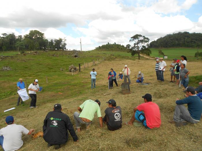 Read more about the article Dia de campo auxilia agricultores do programa Mais Leite em Passos Maia