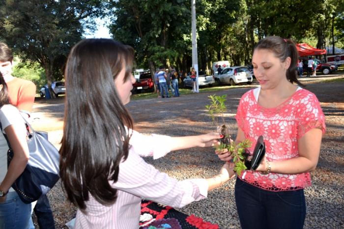 Read more about the article Ouro Verde: Horto Municipal distribui mudas de árvores aos visitantes da Feira da Novilha Leiteira