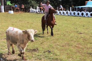 Read more about the article Passos Maia vai sediar mais uma etapa do Intermunicipal de Tiro de Laço