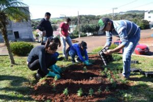 Read more about the article Ouro Verde: Prefeitura embeleza cidade com colocação de floreiras e plantio de 700 mudas de flores de inverno