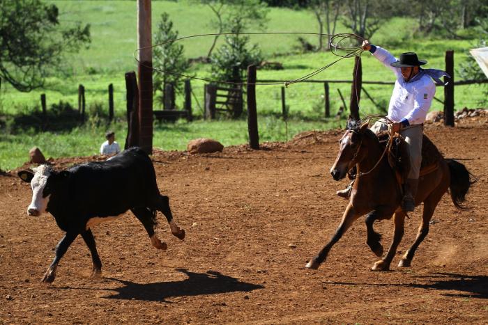 You are currently viewing Intermunicipal de Tiro de Laço chega ao fim com última etapa disputada em Passos Maia