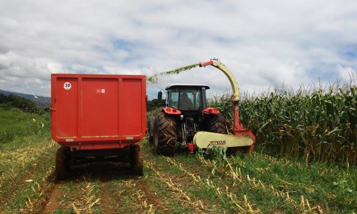 You are currently viewing Associação de Agricultores União adquire seus próprios equipamentos em Vargeão
