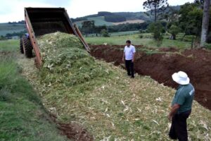 Read more about the article Agricultores de Ouro Verde recebem auxílio na preparação de silagem