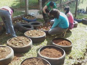 Read more about the article Pneus são reutilizados para criação de horta escolar em Passos Maia