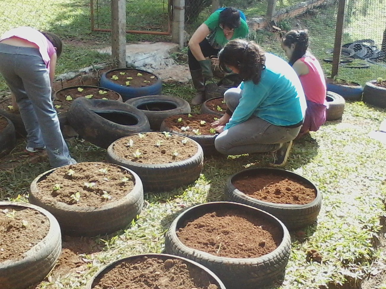You are currently viewing Pneus são reutilizados para criação de horta escolar em Passos Maia