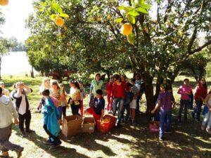 Read more about the article Alunos visitam propriedade rural em estudo da Alimentação Escolar