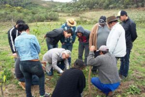 Read more about the article Treinamento com produtores de figo é realizado em Passos Maia