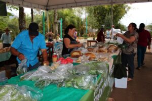 Read more about the article Alimentos produzidos em Passos Maia são expostos em Feira da Agricultura Familiar