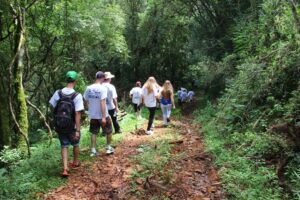 Read more about the article Primeira trilha ecologia acontece oficialmente no Parque das Araucárias