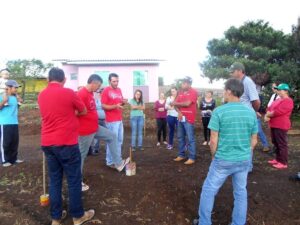 Read more about the article Epagri incentiva agricultores a produzir morangos em Ouro Verde