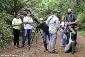 Read more about the article Visitação de aves é atração no Parque Nacional das Araucárias