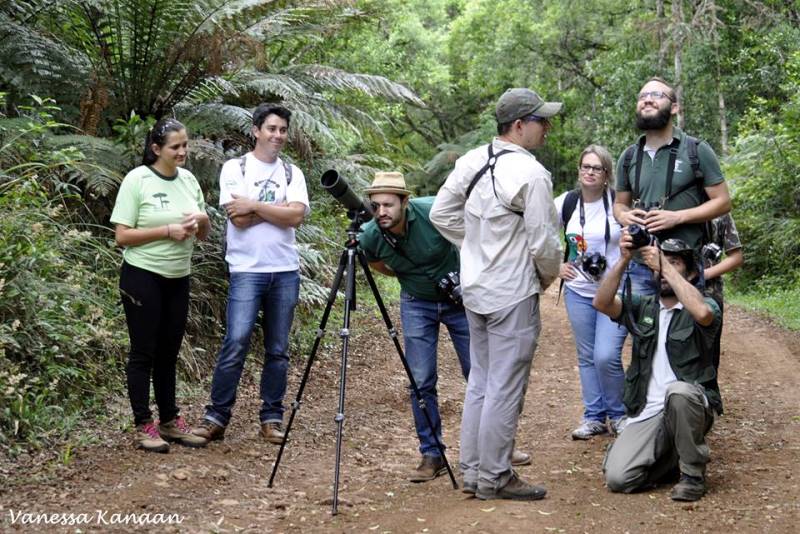You are currently viewing Visitação de aves é atração no Parque Nacional das Araucárias