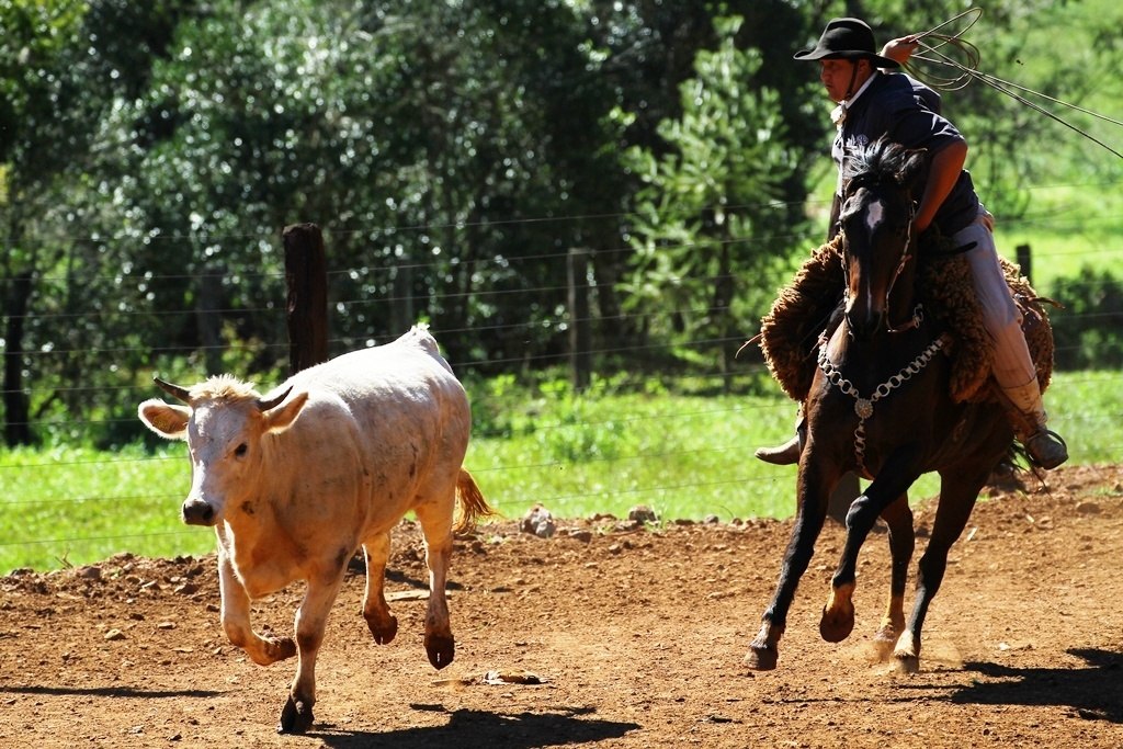 You are currently viewing Rodeio Crioulo Interestadual acontece ao longo de três dias em Passos Maia