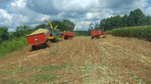 Read more about the article Secretaria de Agricultura auxilia produtores rurais na produção de silagem
