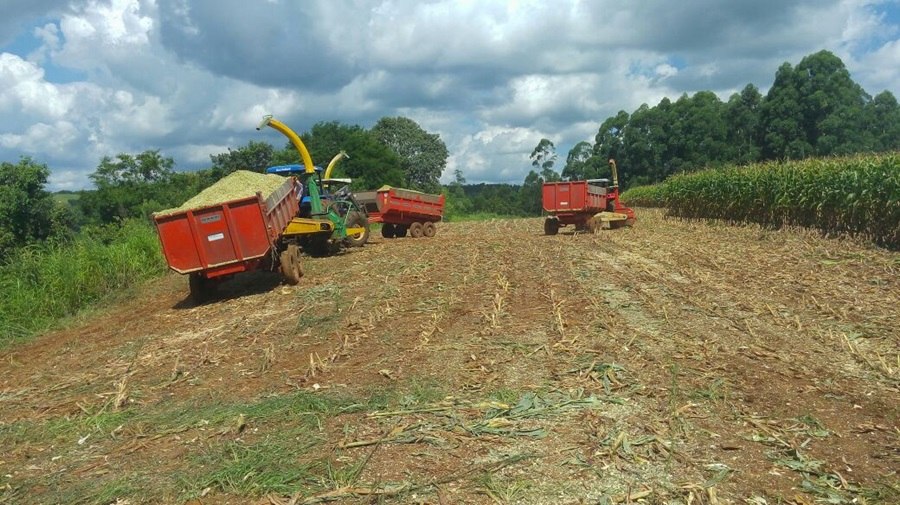 You are currently viewing Secretaria de Agricultura auxilia produtores rurais na produção de silagem