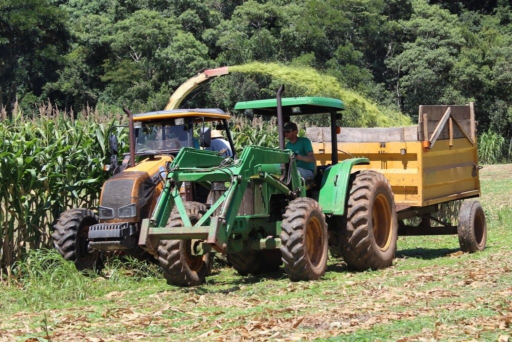 You are currently viewing Equipe da Agricultura trabalha no final de semana para atender demanda de silagem em Passos Maia