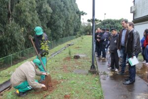 Read more about the article Mudas de árvores são entregues a alunos na abertura da Semana do Meio Ambiente