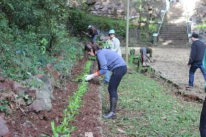 Read more about the article Mutirão comunitário é realizado para revitalizar gruta em Passos Maia