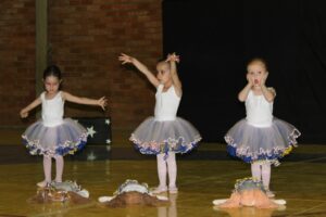Read more about the article Passos Maia realizada mostra de dança com apresentações de crianças, jovens e idosos