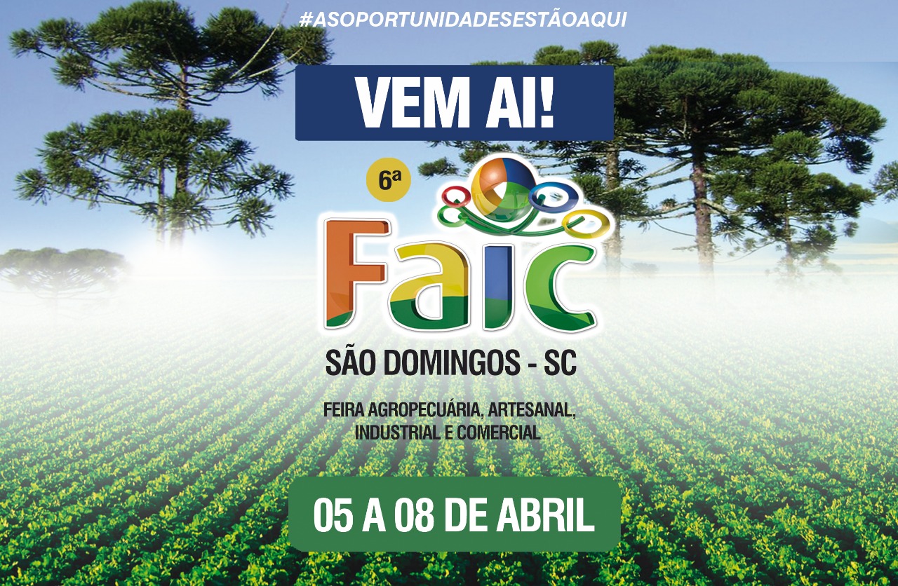Read more about the article Lançamento oficial da 6ª FAIC São Domingos será no dia 14 de março