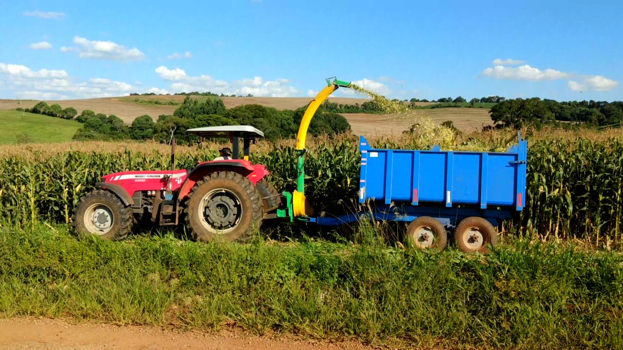 Read more about the article Programa Silagem 2018: cerca de 70% dos agricultores são atendidos pela administração