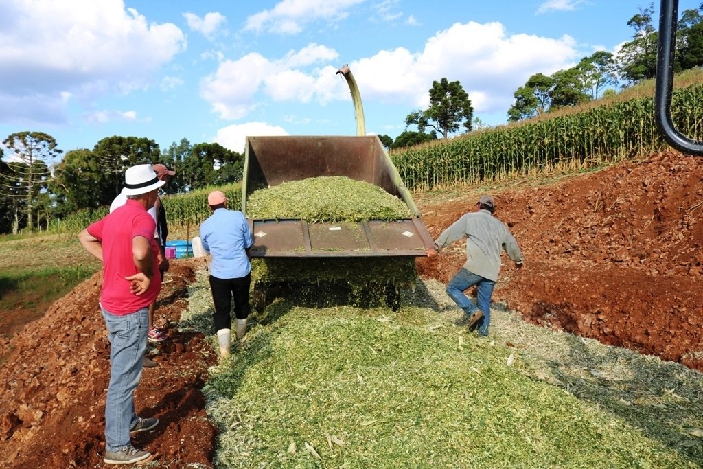 You are currently viewing 350 produtores de leite serão beneficiados no programa de silagem 2018