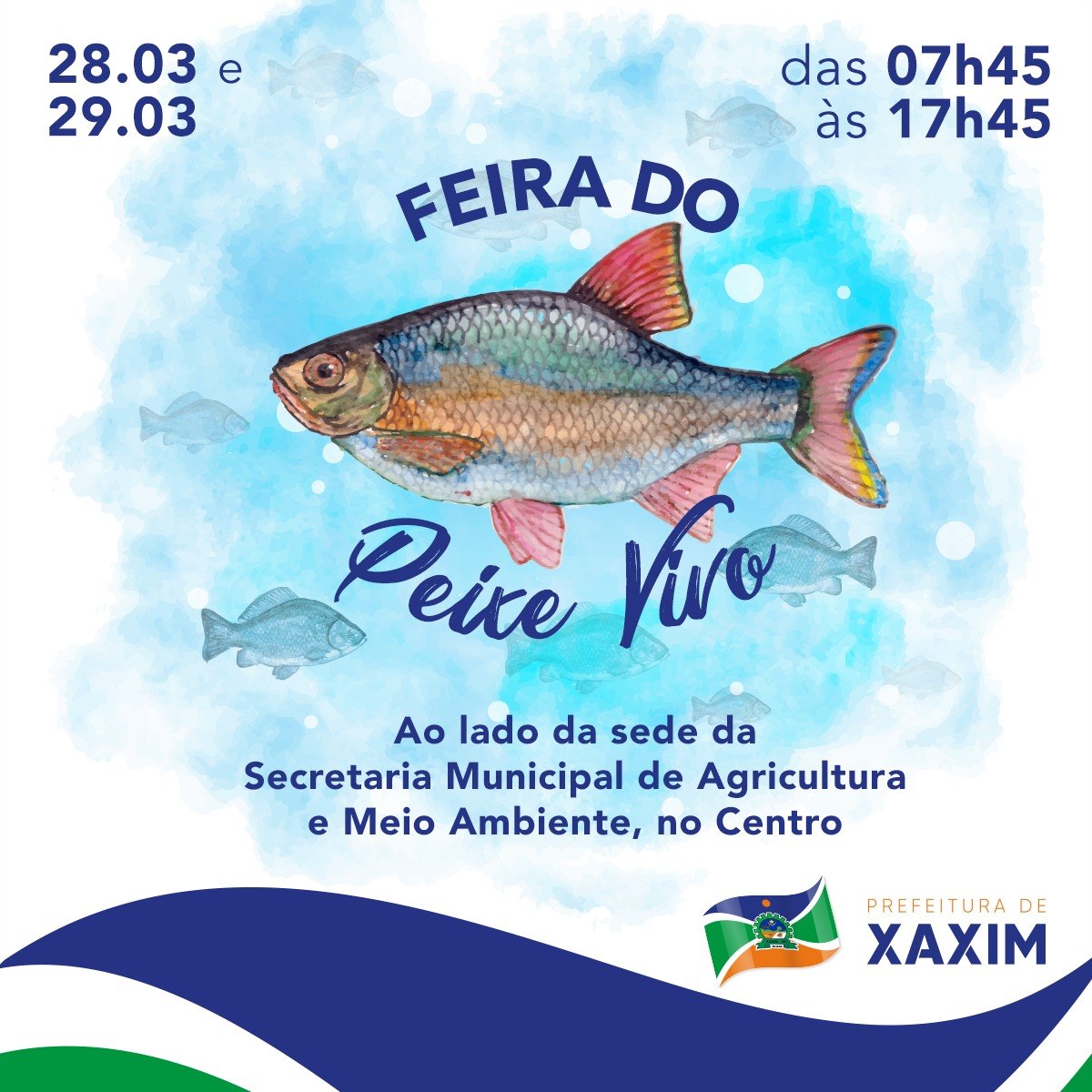 Read more about the article Feira do Peixe Vivo se encerra nesta quinta-feira em Xaxim