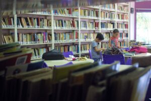 Read more about the article Acervo de 13 mil livros compõe Biblioteca Pública de Xaxim