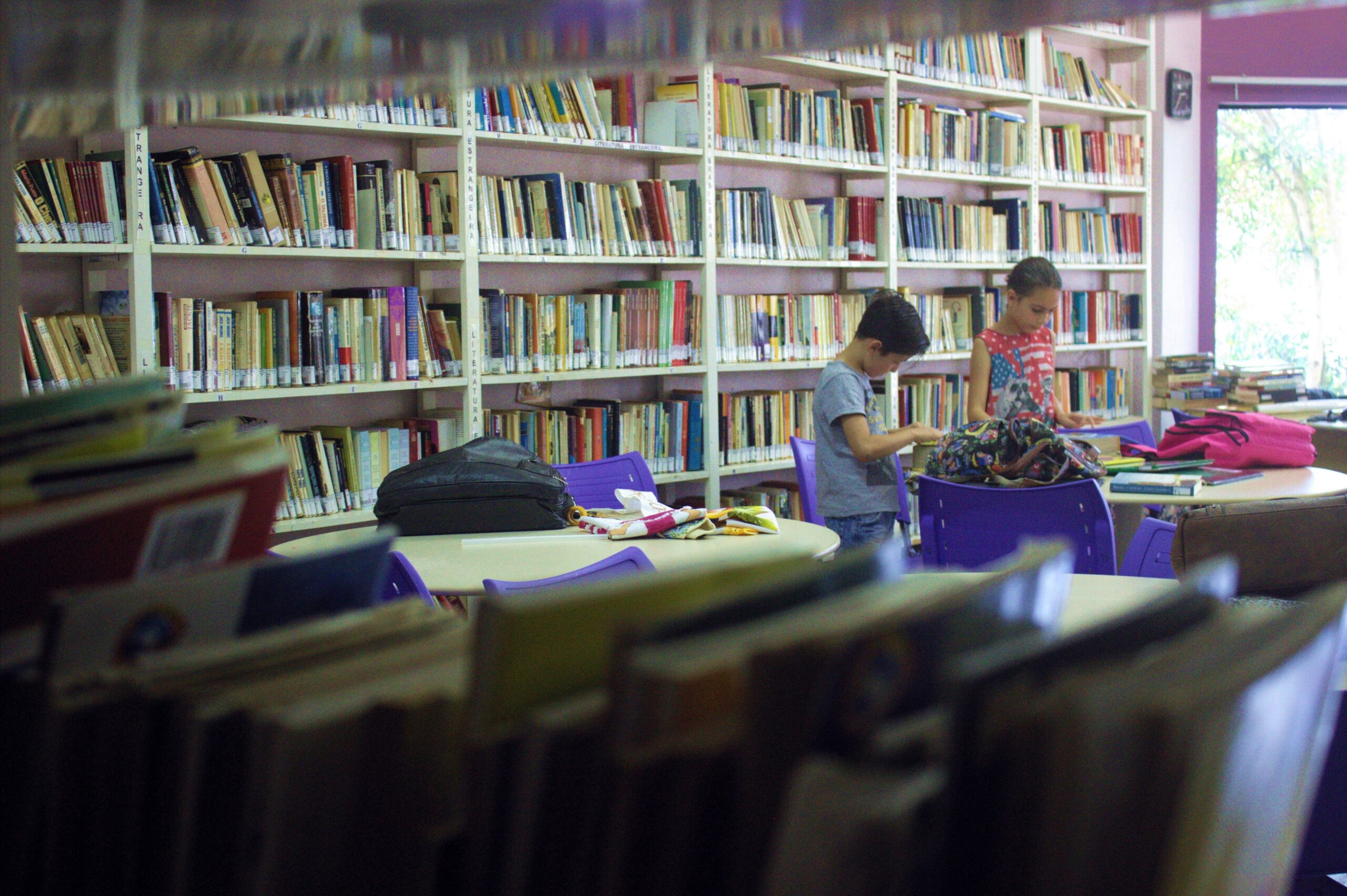 You are currently viewing Acervo de 13 mil livros compõe Biblioteca Pública de Xaxim