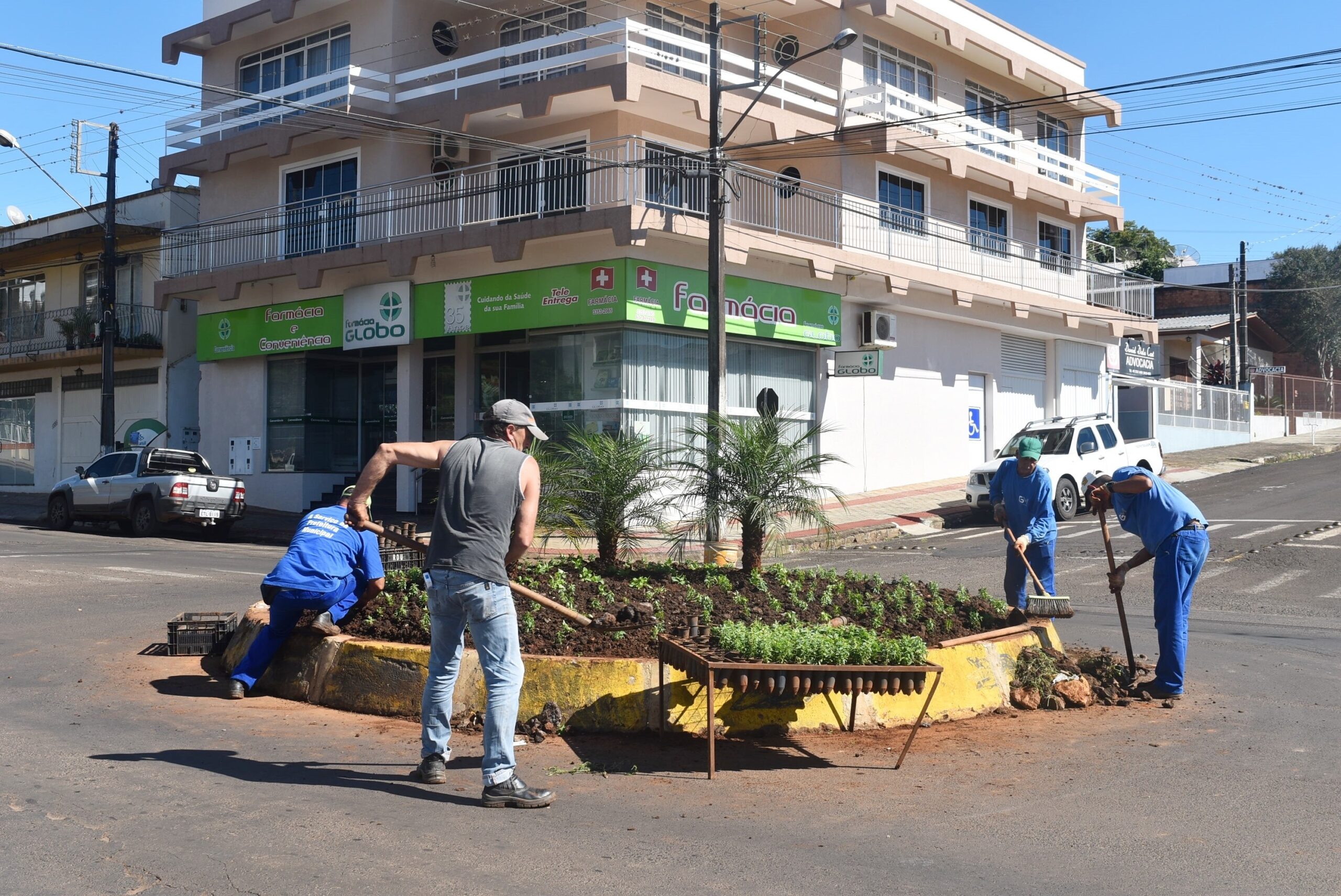 Read more about the article Departamento de Serviços Urbanos inicia plantio de 35 mil mudas de flores em Xaxim