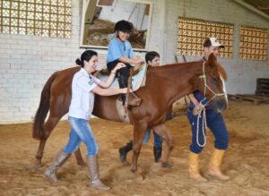 Read more about the article Secretaria Municipal de Saúde oferece equoterapia a pacientes de Xaxim