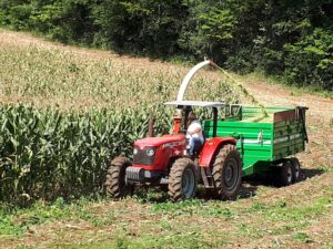 Read more about the article Com meta alcançada, secretaria de Agricultura apresenta balanço geral do Programa de Silagem 2018
