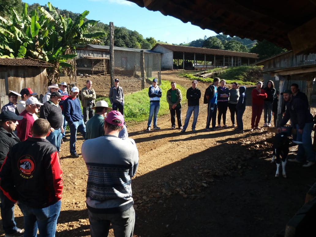 You are currently viewing Alimentação bovina foi assunto de capacitação para produtores em Marema