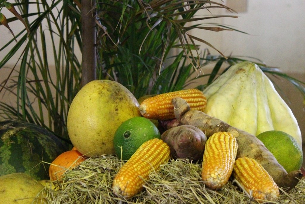 You are currently viewing Passos Maia prepara eventos simultâneos para comemorar Dia do Agricultor