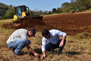 Read more about the article Produtores de Marema começam o plantio de milho