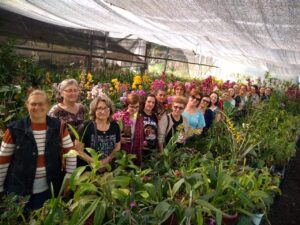 Read more about the article Mulheres de Passos Maia visitam orquidário para aprimorar cultivo da planta